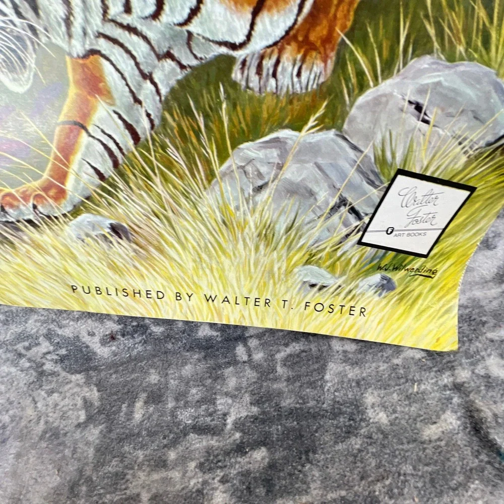 The Cats in Action Walter T Foster Art Book Walter‎ Wilwerding Tiger Leopard